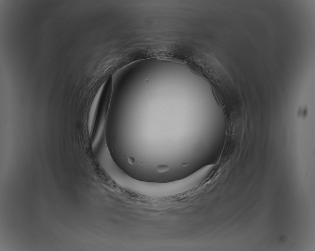 X0000097760041200803071305