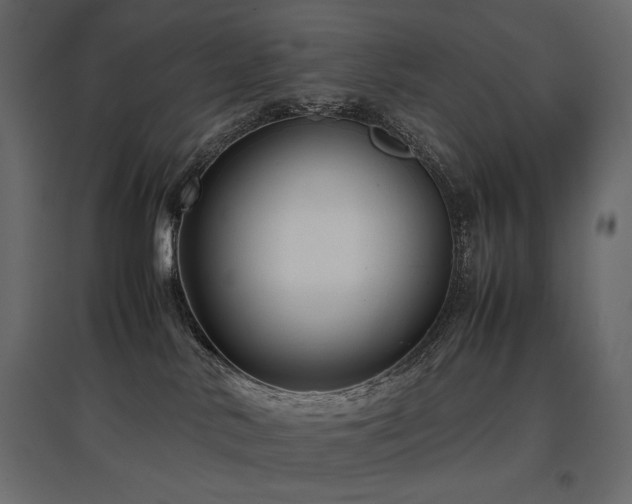 X0000097760042200803071305