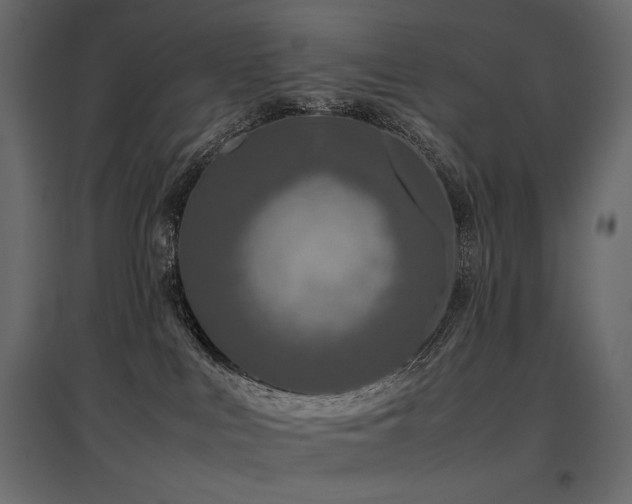 X0000097760043200803071305