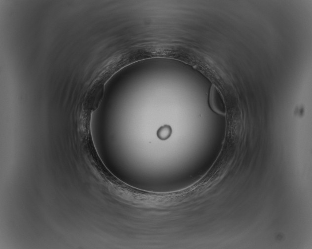 X0000097760044200803071304