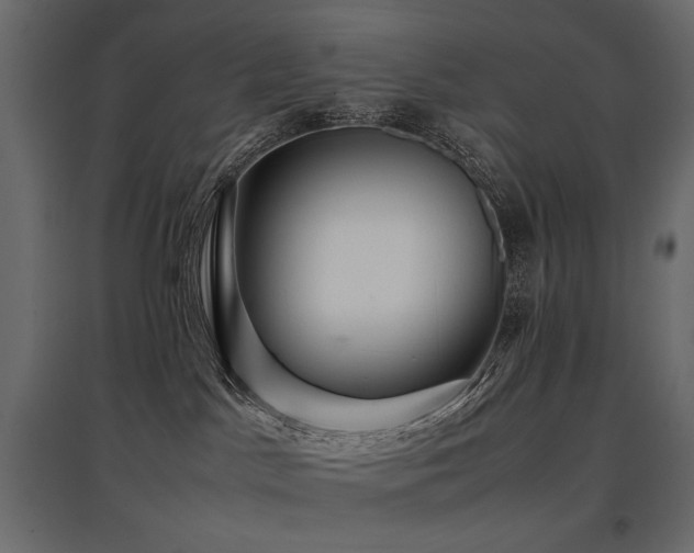 X0000097760045200803071304