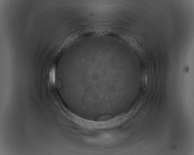 X0000097760046200803071304