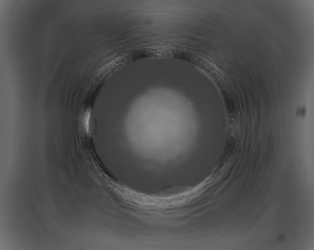 X0000097760047200803071304