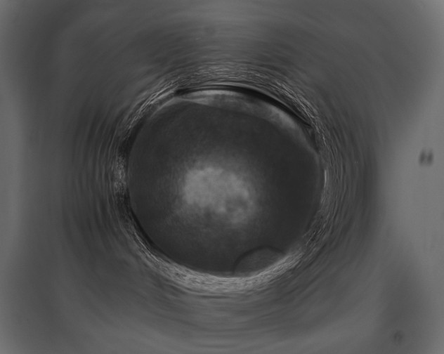 X0000097760048200803071304