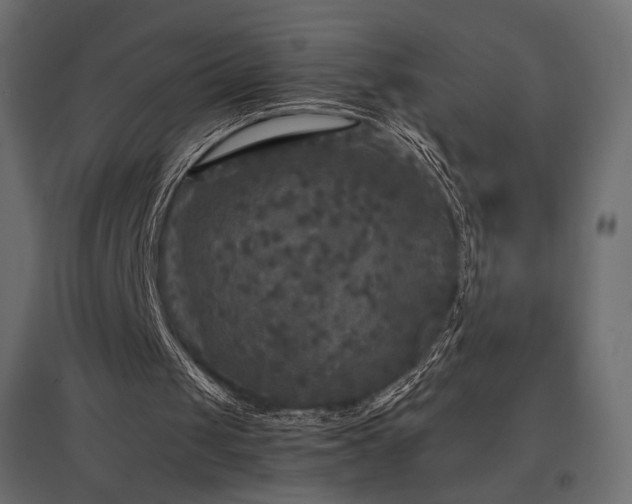 X0000097760049200803071304