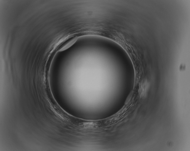 X0000097760050200803071304