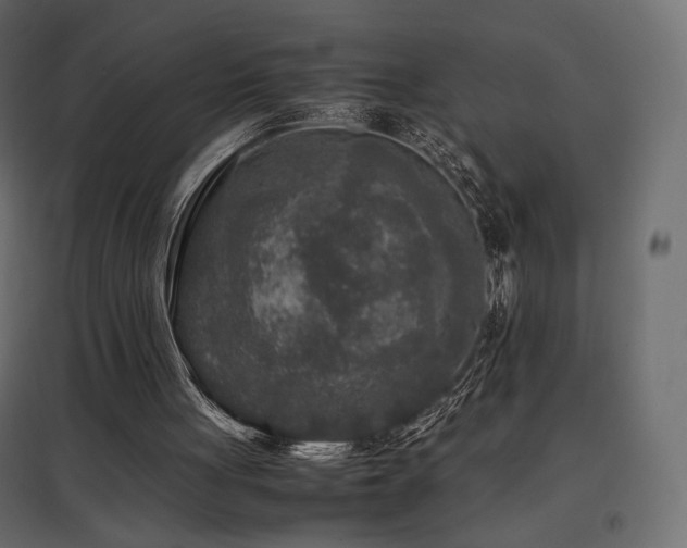 X0000097760051200803071304