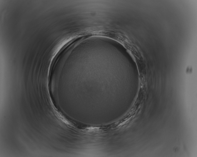 X0000097760052200803071304