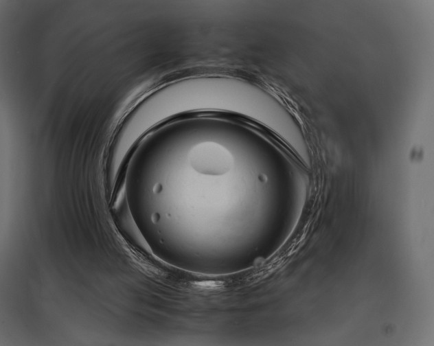 X0000097760053200803071304