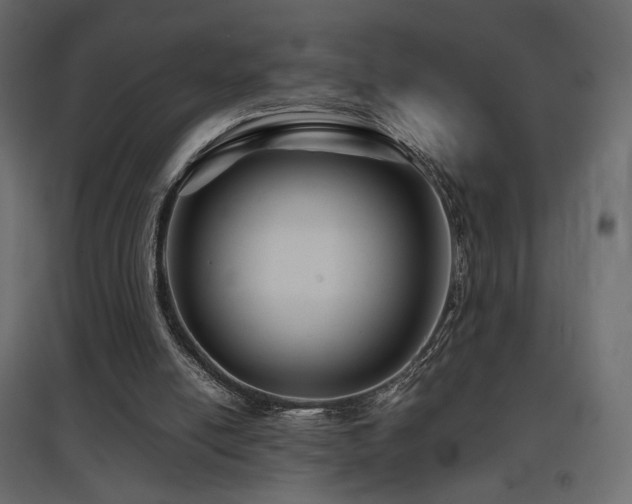 X0000097760054200803071304