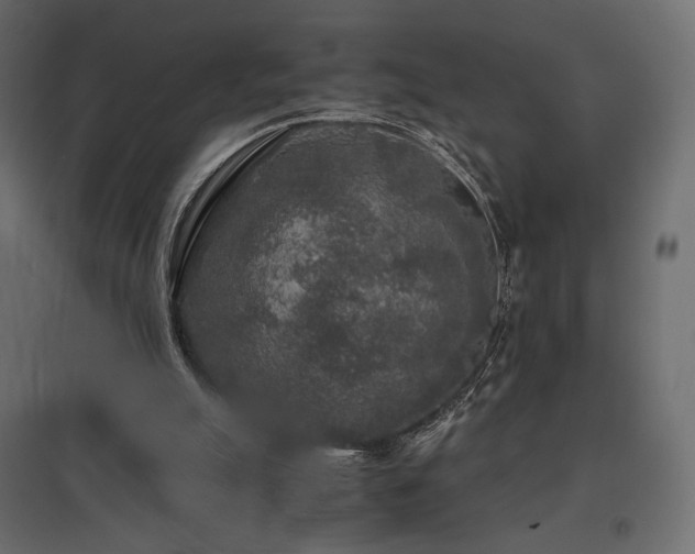 X0000097760055200803071304