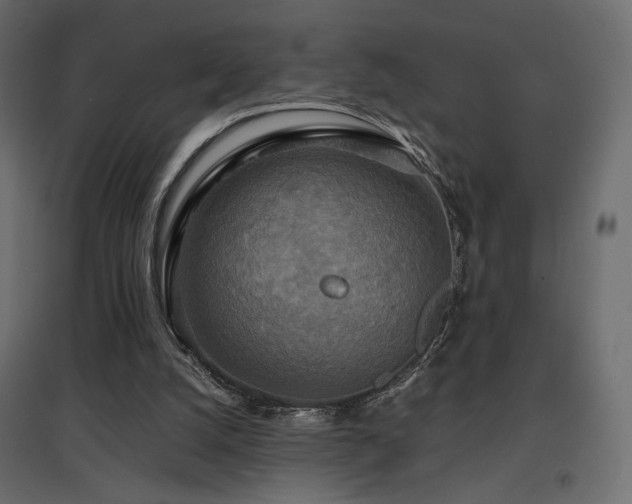 X0000097760056200803071304