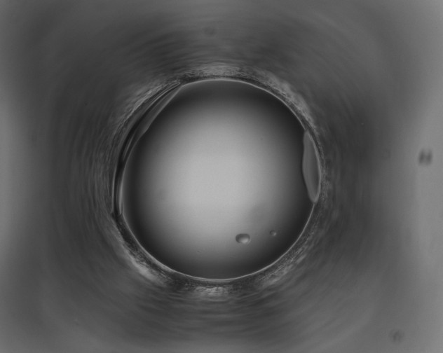 X0000097760057200803071304