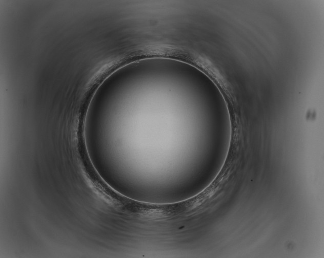 X0000097760058200803071304