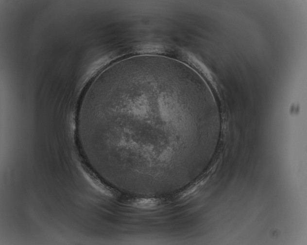 X0000097760059200803071304