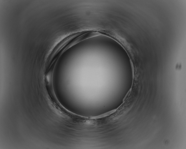 X0000097760060200803071304