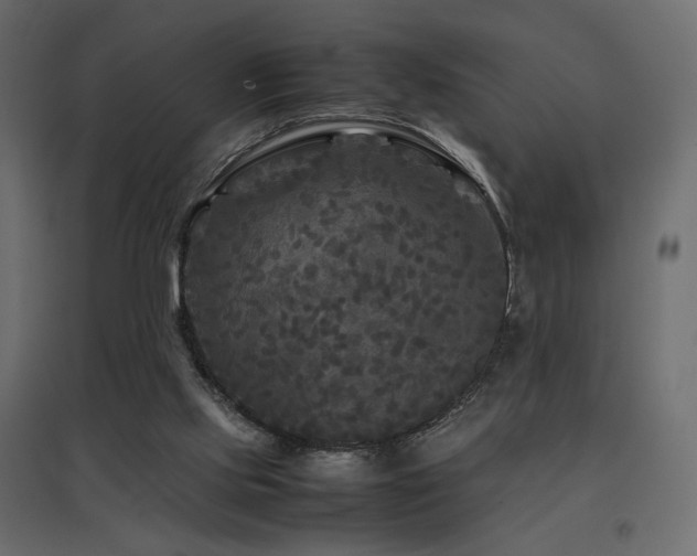 X0000097760061200803071304