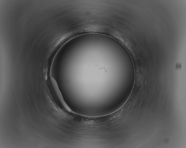 X0000097760062200803071304