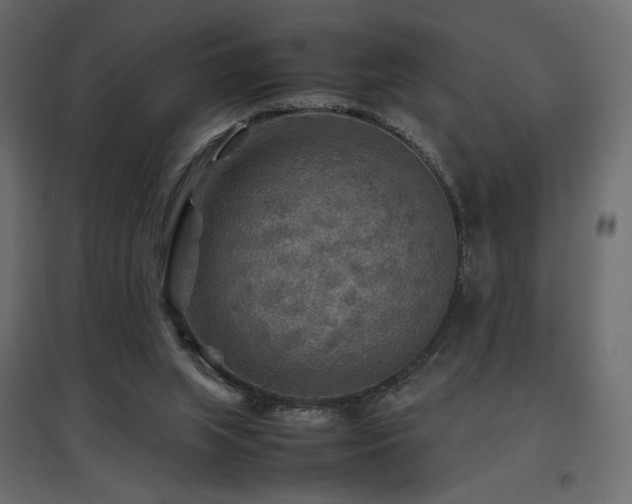 X0000097760063200803071304