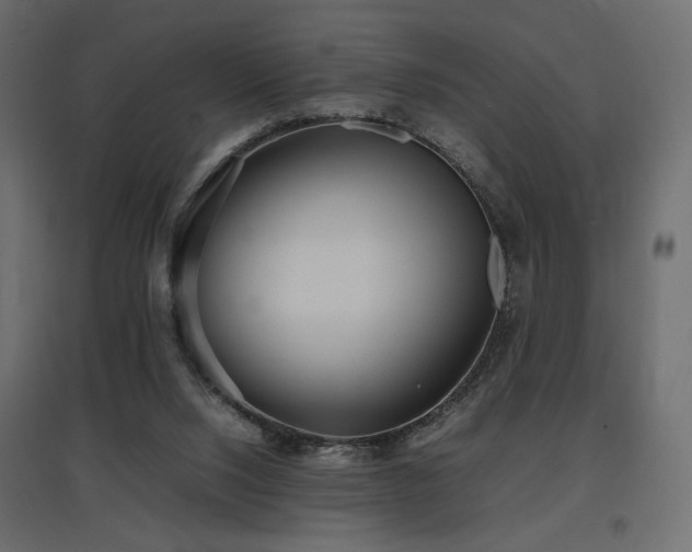 X0000097760064200803071304