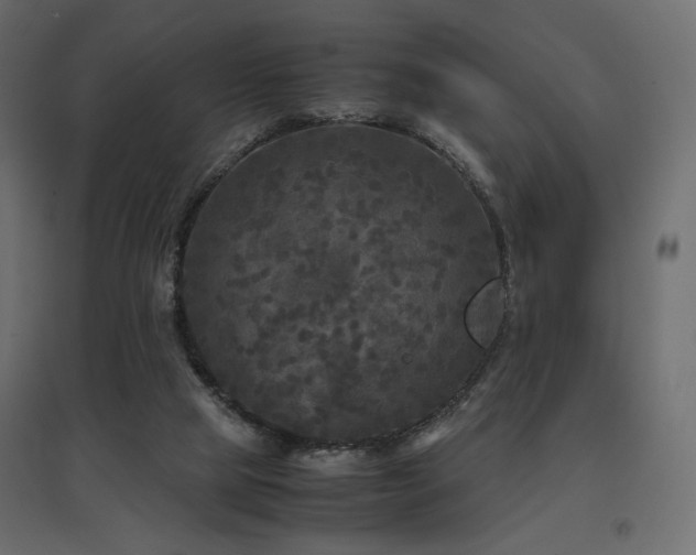 X0000097760065200803071304