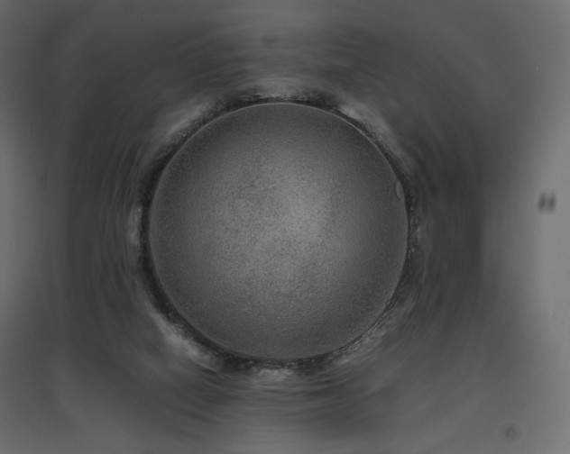 X0000097760066200803071304