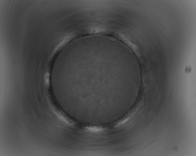 X0000097760067200803071304