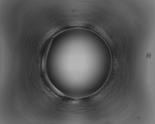 X0000097760068200803071304