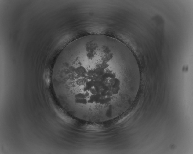 X0000097760069200803071304