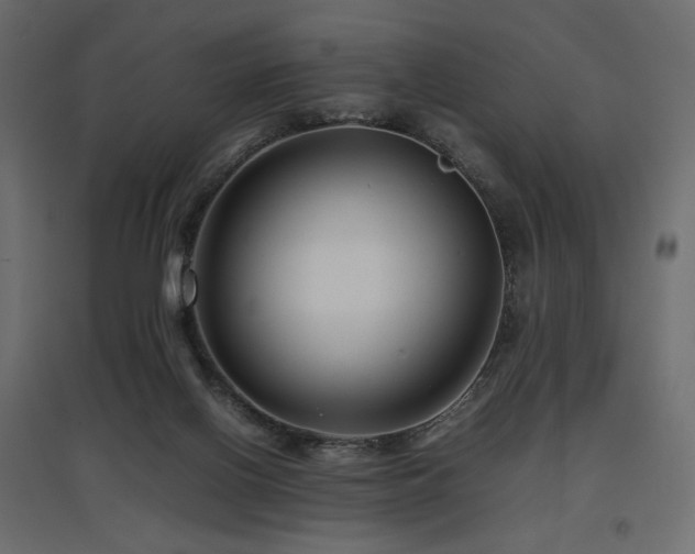 X0000097760070200803071304