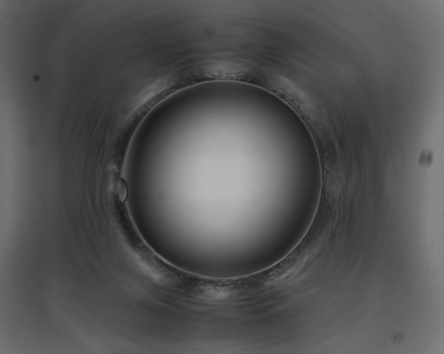 X0000097760071200803071304