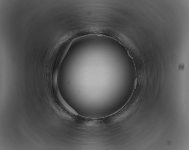 X0000097760072200803071304