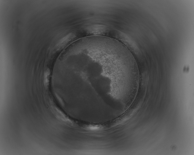 X0000097760073200803071304