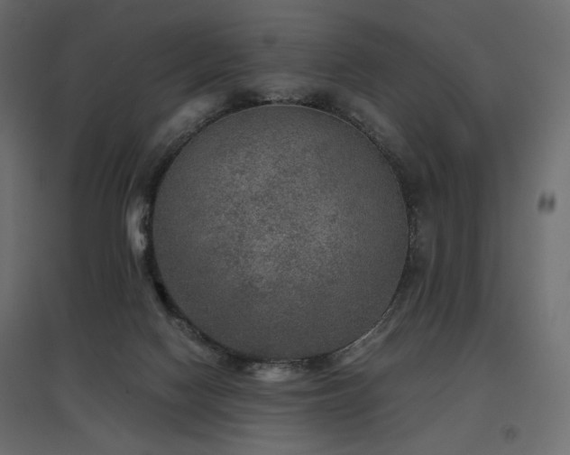 X0000097760074200803071304