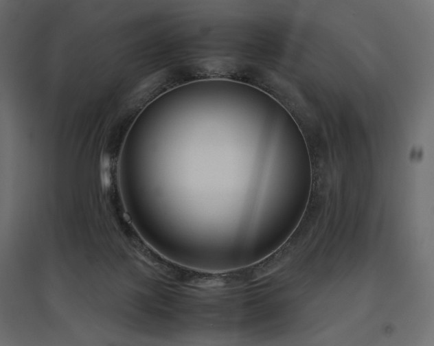 X0000097760075200803071304