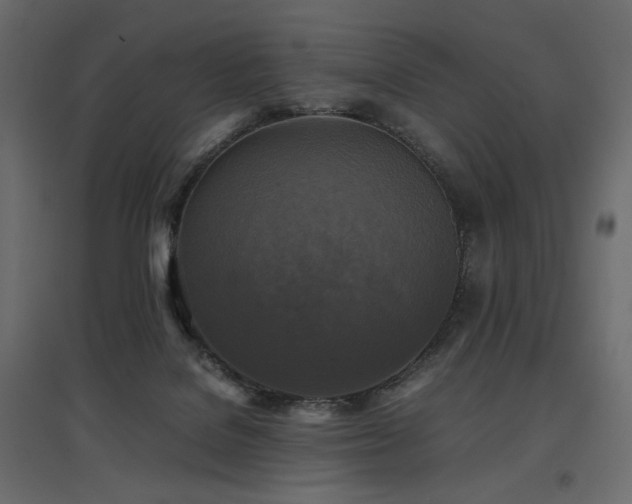 X0000097760076200803071304