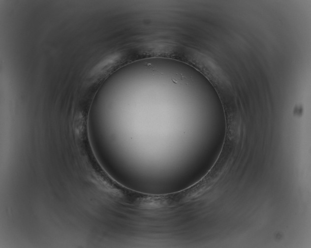 X0000097760077200803071304