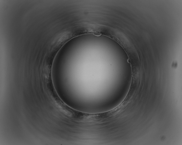 X0000097760078200803071304