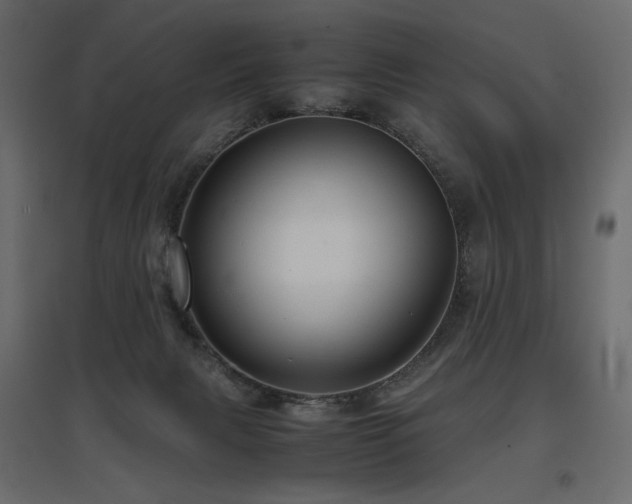 X0000097760079200803071304