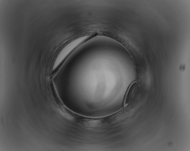 X0000097760081200803071304