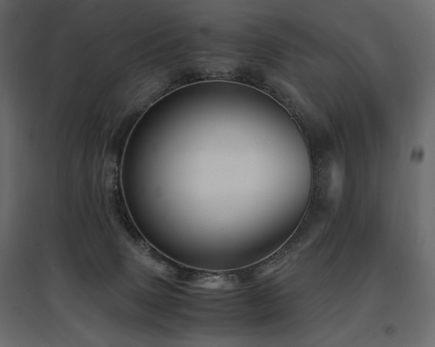 X0000097760083200803071304