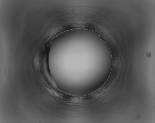 X0000097760084200803071304