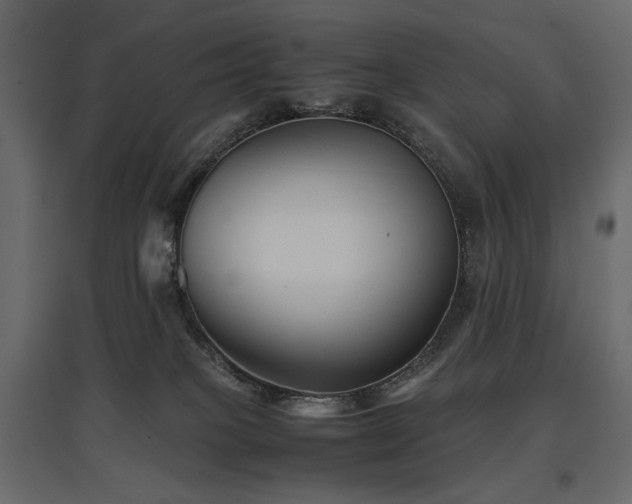 X0000097760085200803071304