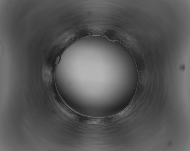 X0000097760086200803071304