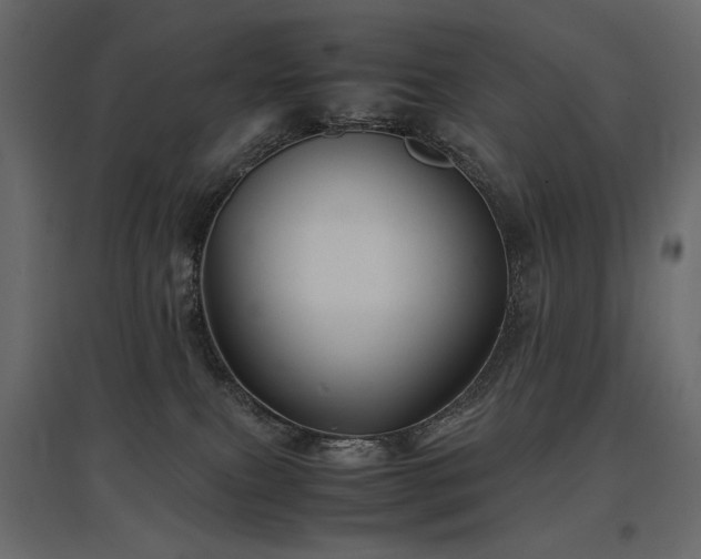 X0000097760087200803071304