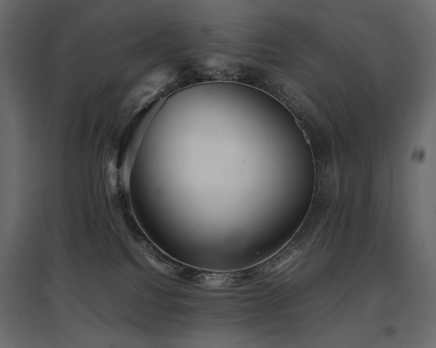 X0000097760088200803071304