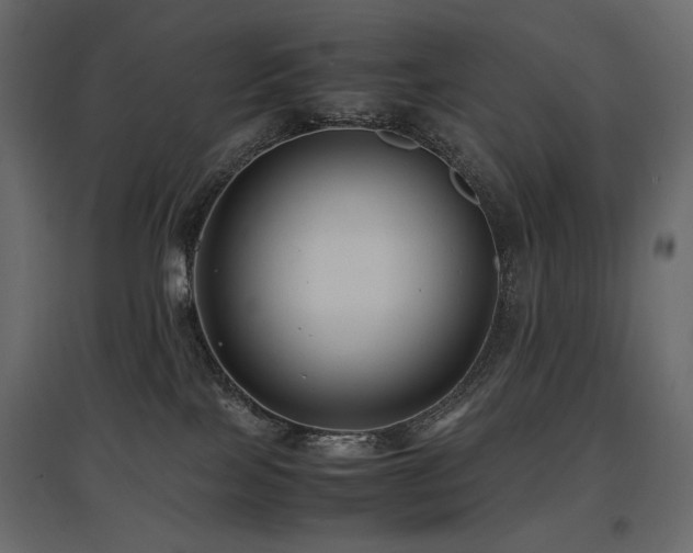 X0000097760089200803071304