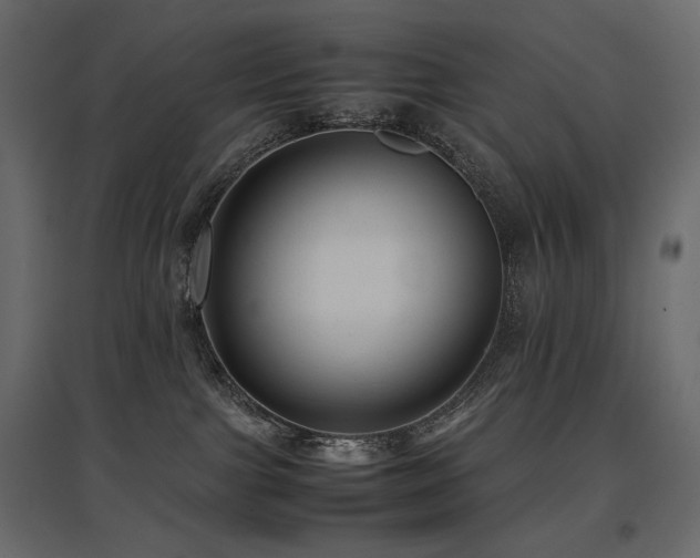 X0000097760091200803071304