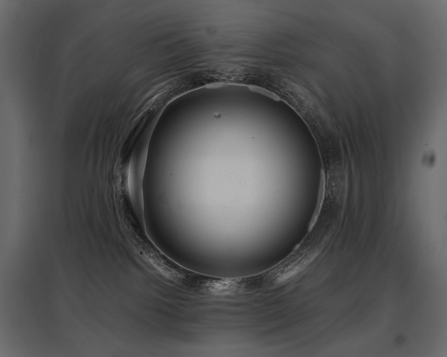 X0000097760092200803071304