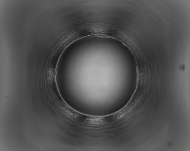 X0000097760093200803071304